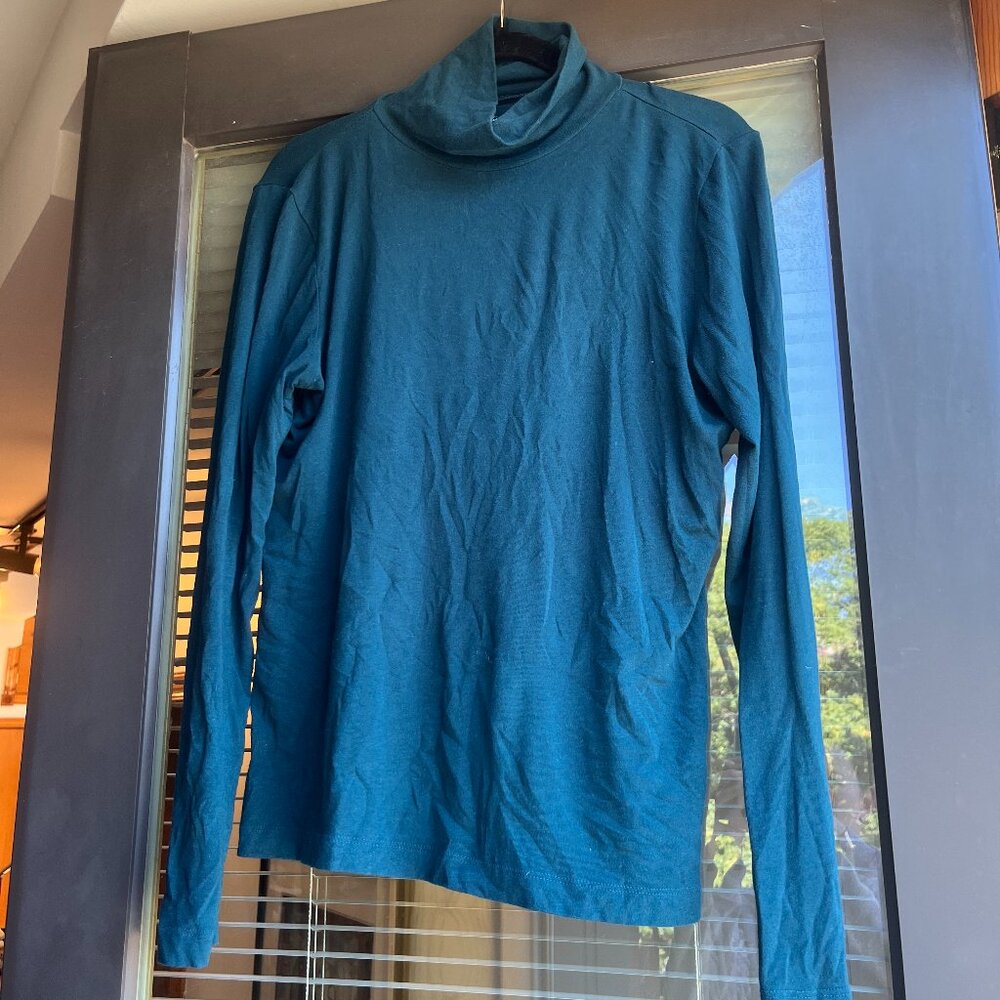 Banana Republic teal turtleneck long sleeve